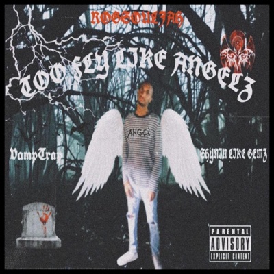 Too Fly Like Angelz - Single
