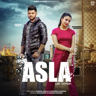 Asla (feat. Khushboo Manhas) [Lofi Version] - Single