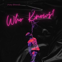 Who Knows - Single - Mikey Barreneche