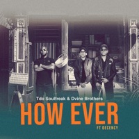How Ever (feat. Decency) - Tdo Soulfreak & Dvine Brothers