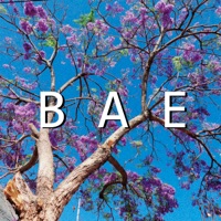 Bae - Single - Roma en Chernobyl ☢