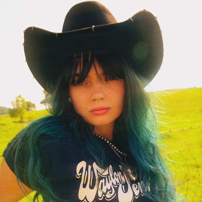 Song - Outlaw Shit (Cover) - Brianna Harness