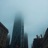 Life in Gray