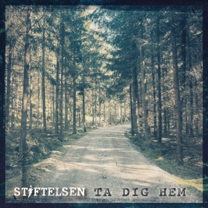 Ta dig hem - Single