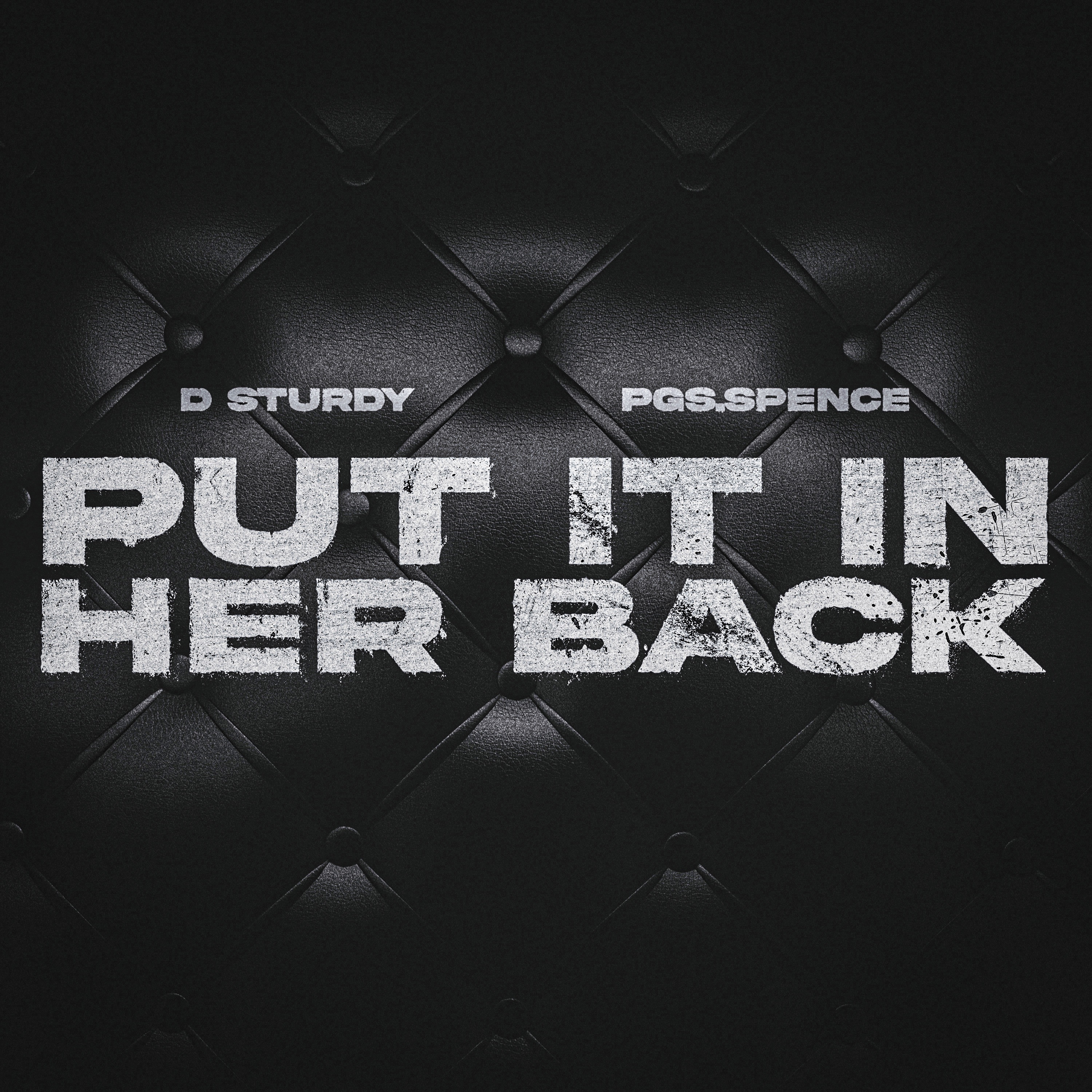 Put It In Her Back - Single by D STURDY & PGS Spence album cover