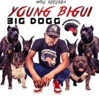 BIG DOGG (feat. YOUNG BIGUI) - Single - Afrorecords