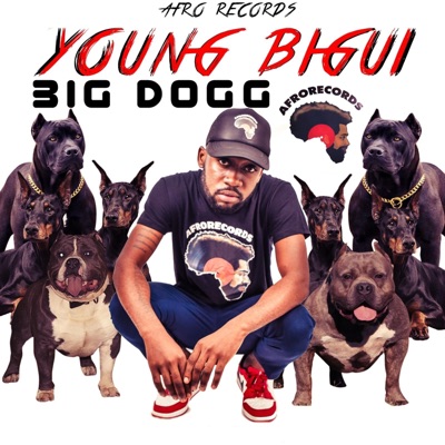 BIG DOGG (feat. YOUNG BIGUI) - Single