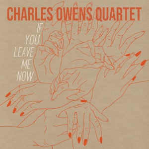 If You Leave Me Now - Single
