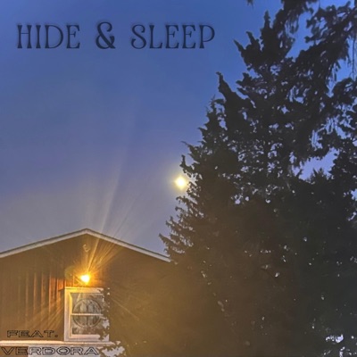 HIDE & SLEEP (feat. VERDORA) - Single