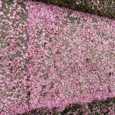 Nostalgia Burns (feat. Nicho, St Jimmy & Tigerstar) - Single