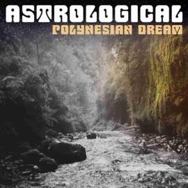 Vessels AstroLogical