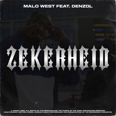 Zekerheid (feat. Denzdl) - Single
