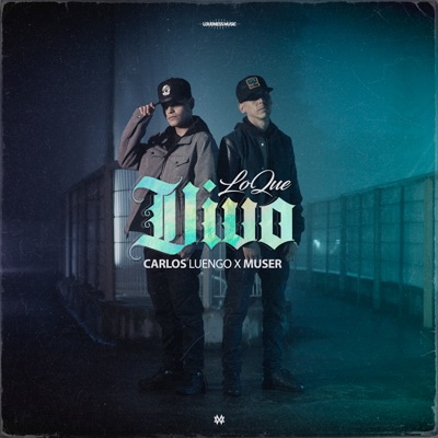 Lo Que Vivo - Single