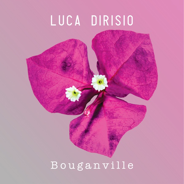 Bouganville