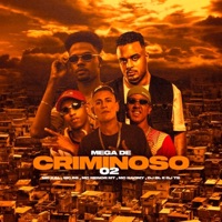 Mega de Criminoso 02 - Single - MC Kal, Mc BS, MC Menor MT & Mc Naomy