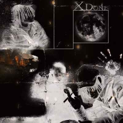 Xdonis