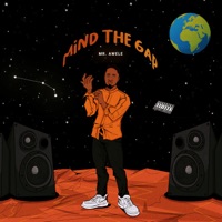 Mind the Gap - Mr Awele