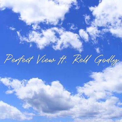 Perfect View (feat. Rell Godly) - Single