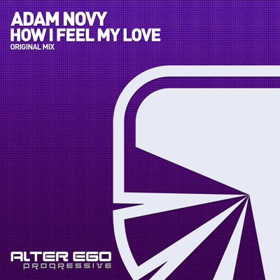 How I Feel My Love - Single