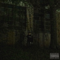 Already Extinct - K.$.