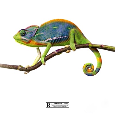 Capacités - Single