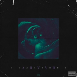 Половина ARVVB