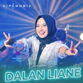 Dalan Liane artwork