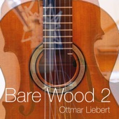 Bare Wood 2 artwork