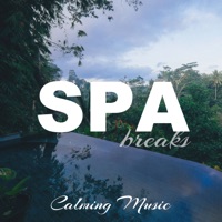Spa Breaks - Calming Music - Janelle Hogan