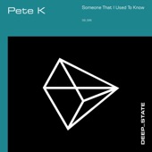 Someone That I Used to Know (Extended) artwork