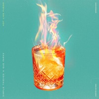 Hot Like Fuego - Single - Simple Thieves & Que Parks