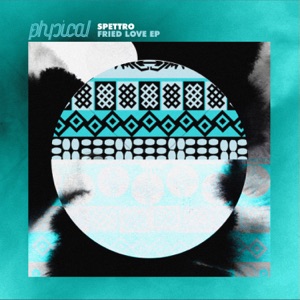 Fried Love - Single