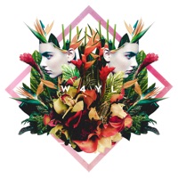 W4yl - Single - Michael Minelli