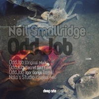Odd Job - EP - Neil Smallridge
