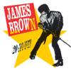 I Got You (I Feel Good) - James Brown & The Famous Flames