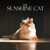 The Sunshine Cat artwork