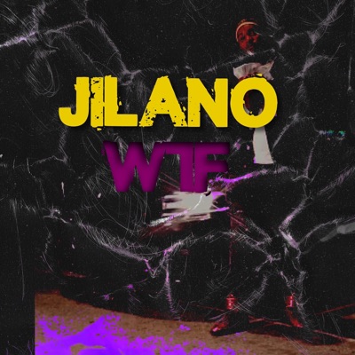 WTF (Radio Edit) [Radio Edit] - Single