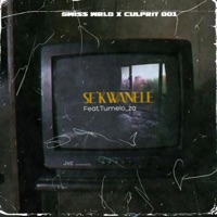 Se'Kwanele (feat. Tumelo) - Single - Culprit 001 & Swiss Wrld
