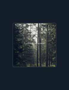 收听 Catching the Moment、观看音乐视频、阅读小传、查看巡演日期等 ！