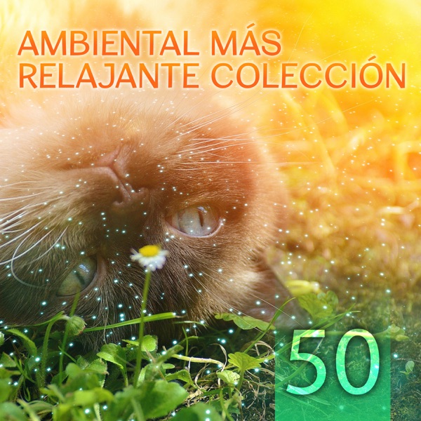 50 Ambiental Más Relajante Colección: Antiestres Música y Sonidos de la Naturaleza para Relajación, Dormir, Meditación, Pensamento Positivo, Spa, Masaje y Yoga