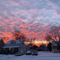 Dead Roses To Impress Her - Single - hellboy.lust