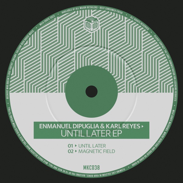 Until Later - Single