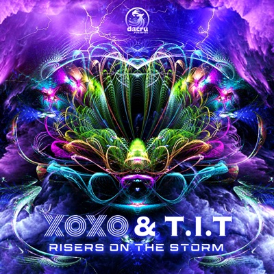 Risers On the Storm - Single