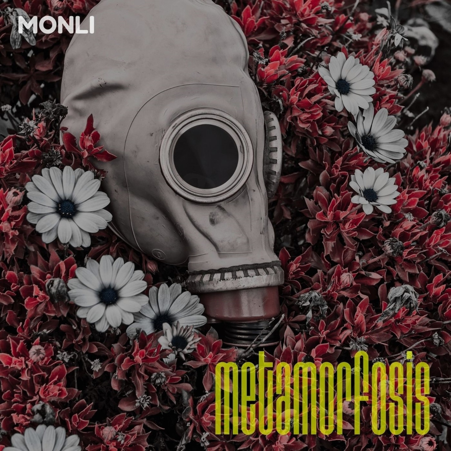 MARCA SUMMER EN TODO LUGAR