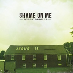 Shame on Me - Single