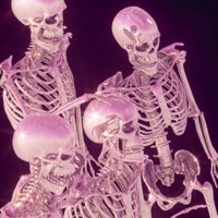 PERFECT VISION (feat. Young Vic) - Single - Young Xpert