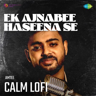 Ek Ajnabee Haseena Se (Calm Lofi) - Single