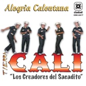 Alegría Calentana (Los Creadores del Sacadito) artwork