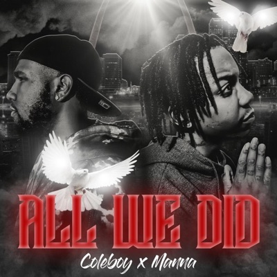 All We Did (feat. Manna Muzic) - Single