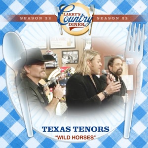 Wild Horses (Larry's Country Diner Season 22) - Single